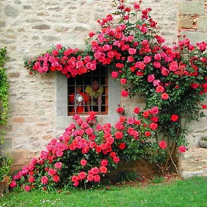 Ai Frati Alloggio per agriturismo Pieve Fosciana